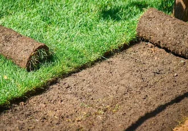 Sod and Hydroseed